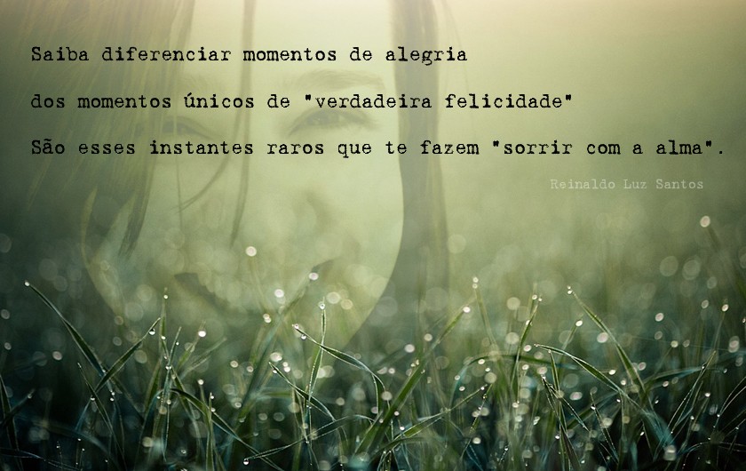 LUZ SANTOS luz santos: