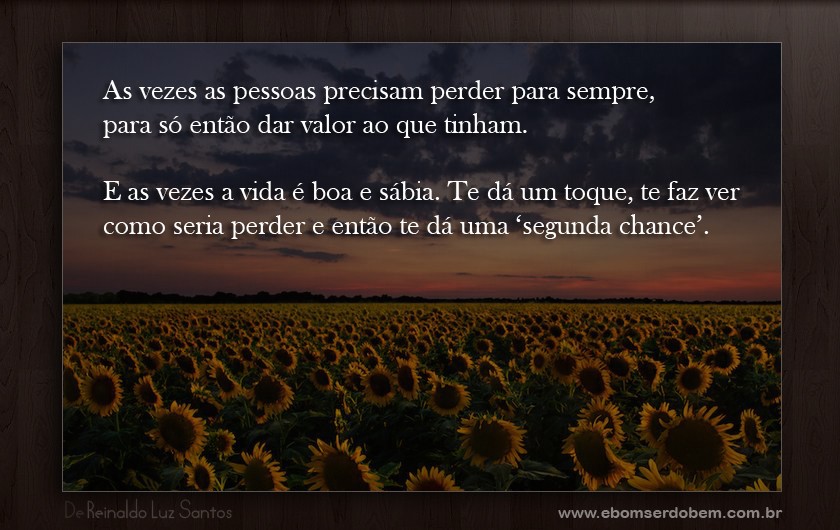 LUZ SANTOS luz santos: